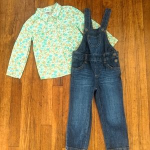 The Childrens Place Denim Overalls